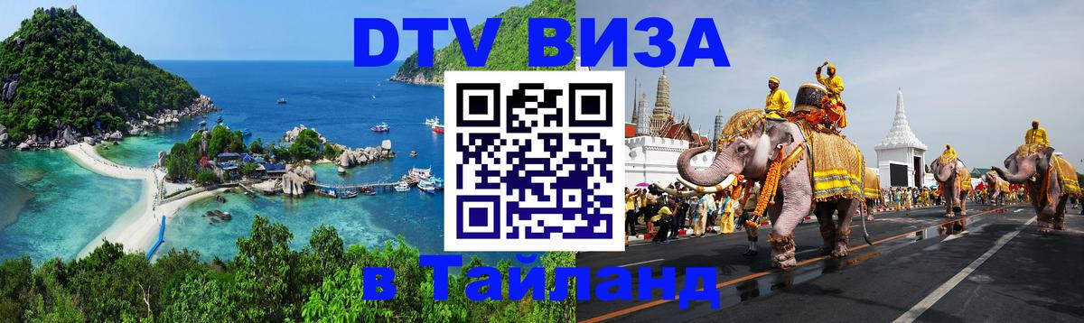 Оформление DTV визы под ключ: стоимость и тарифы, только загранпаспорт - Саранск 